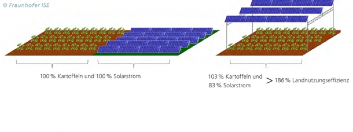 data/image/225/zuerst_at_agri-pv_article_4910_0.jpg