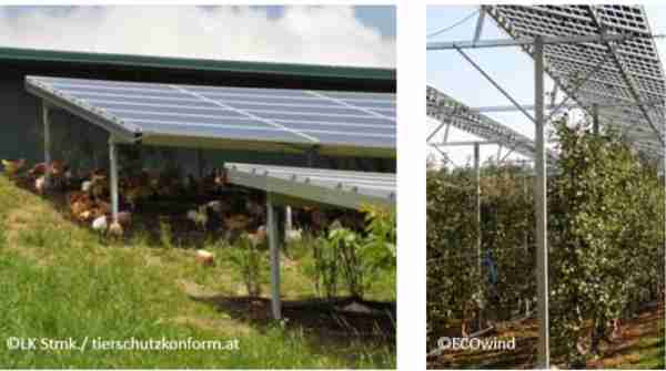 https://www.energie-erlebnisregion-huegelland.at/data/image/thumpnail/image.php?image=225/zuerst_at_agri-pv_article_4909_1.jpg&width=600