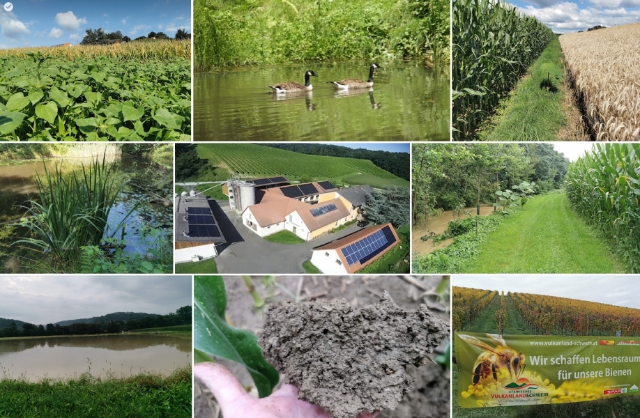 https://www.energie-erlebnisregion-huegelland.at/data/image/thumpnail/image.php?image=225/zuerst_at_article_4785_3.jpg