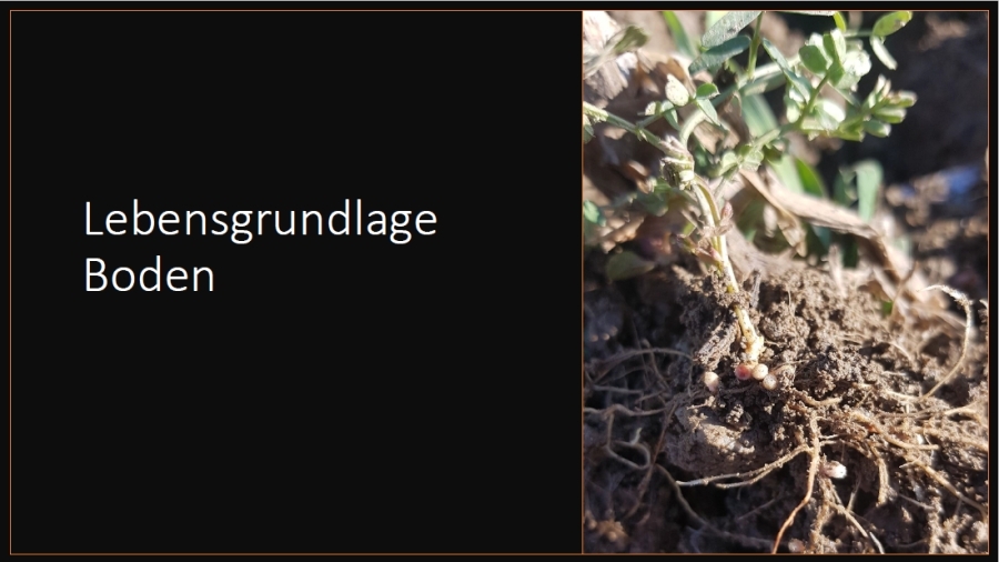 https://www.energie-erlebnisregion-huegelland.at/data/image/thumpnail/image.php?image=225/zuerst_at_article_4788_0.jpg